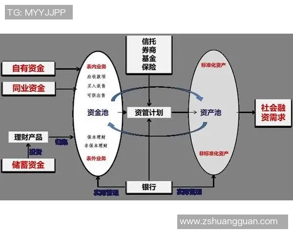 广州篮球队转型之路的挑战与机遇全景解析与未来展望